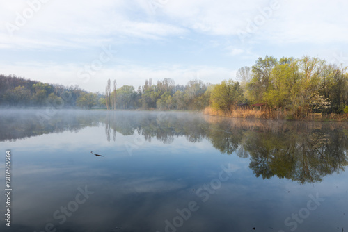 Wallpaper Mural Spring Landscape of Grădina Botanică din Chișinău – Blooming Flowers, Lush Green Park, Urban Nature Oasis, Scenic Botanical Garden in Moldova Capital, Peaceful City Park in Springtime Torontodigital.ca