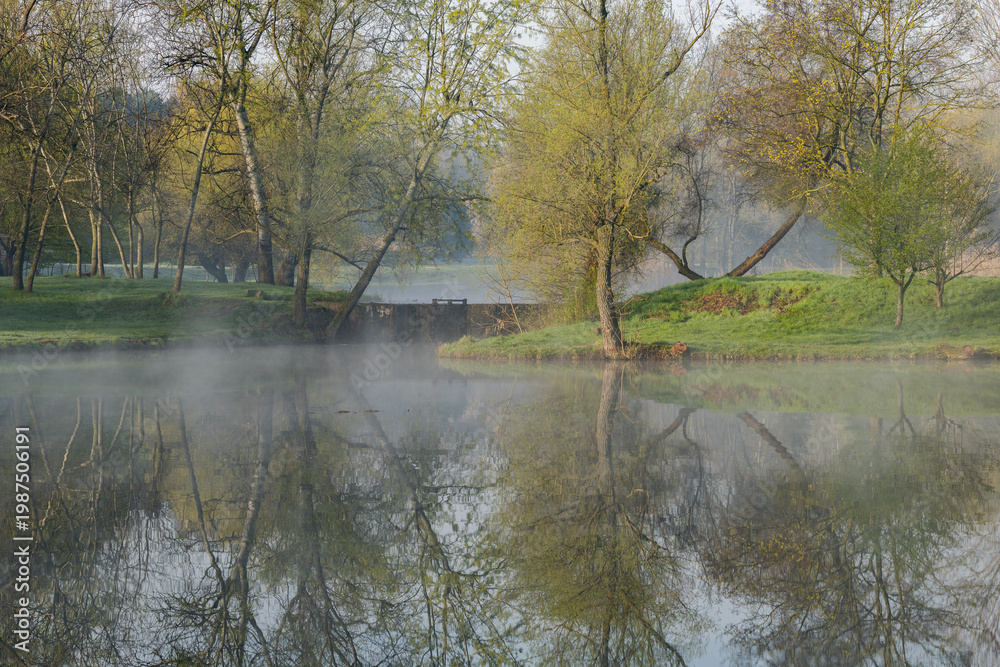 custom made wallpaper toronto digitalSpring Landscape of Grădina Botanică din Chișinău – Blooming Flowers, Lush Green Park, Urban Nature Oasis, Scenic Botanical Garden in Moldova Capital, Peaceful City Park in Springtime