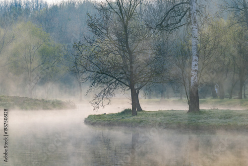 Wallpaper Mural Spring Landscape of Grădina Botanică din Chișinău – Blooming Flowers, Lush Green Park, Urban Nature Oasis, Scenic Botanical Garden in Moldova Capital, Peaceful City Park in Springtime Torontodigital.ca