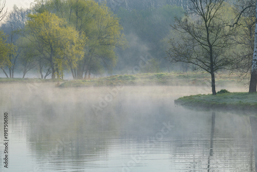 Wallpaper Mural Spring Landscape of Grădina Botanică din Chișinău – Blooming Flowers, Lush Green Park, Urban Nature Oasis, Scenic Botanical Garden in Moldova Capital, Peaceful City Park in Springtime Torontodigital.ca