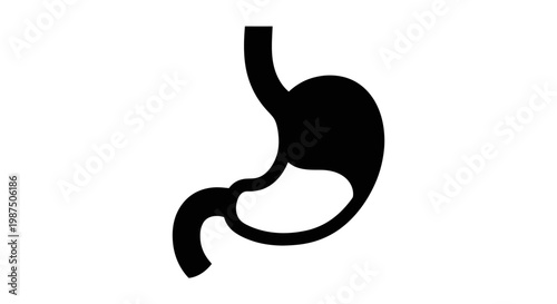 Anatomical illustration of a human stomach in dark outline silhouette
