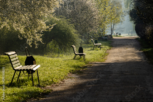 Wallpaper Mural Spring Landscape of Grădina Botanică din Chișinău – Blooming Flowers, Lush Green Park, Urban Nature Oasis, Scenic Botanical Garden in Moldova Capital, Peaceful City Park in Springtime Torontodigital.ca
