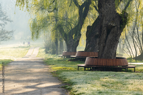 Wallpaper Mural Spring Landscape of Grădina Botanică din Chișinău – Blooming Flowers, Lush Green Park, Urban Nature Oasis, Scenic Botanical Garden in Moldova Capital, Peaceful City Park in Springtime Torontodigital.ca