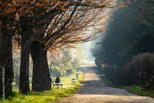 Wallpaper Mural Spring Landscape of Grădina Botanică din Chișinău – Blooming Flowers, Lush Green Park, Urban Nature Oasis, Scenic Botanical Garden in Moldova Capital, Peaceful City Park in Springtime Torontodigital.ca