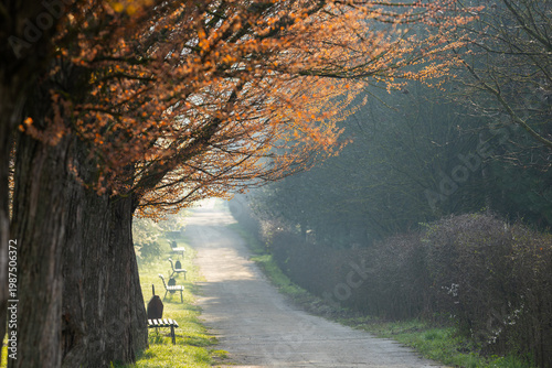 Wallpaper Mural Spring Landscape of Grădina Botanică din Chișinău – Blooming Flowers, Lush Green Park, Urban Nature Oasis, Scenic Botanical Garden in Moldova Capital, Peaceful City Park in Springtime Torontodigital.ca
