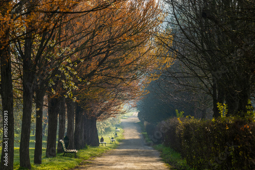 Wallpaper Mural Spring Landscape of Grădina Botanică din Chișinău – Blooming Flowers, Lush Green Park, Urban Nature Oasis, Scenic Botanical Garden in Moldova Capital, Peaceful City Park in Springtime Torontodigital.ca