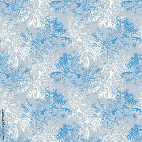pattern with hand-drawn blue and white chicory sketches - fresh botanical ink illustration for home textile, eco-friendly stationery, organic skincare packaging and summer apparel