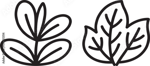 Black and white floral vector illustration set with flower leaf silhouette ornamental nature on vector design on transparent background.