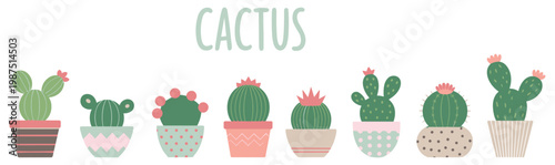 Set of eight hand drawn cacti in patterned pots with the word cactus written in light green letters above the plants on a white background
