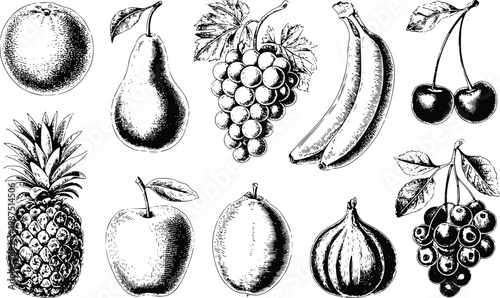 Hand drawn fruit set featuring pineapple banana pear grapes apple citrus and cherry in classic engraved style for agricultural packaging and healthy living design concepts on neutral backdrop.