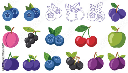 Set of flat fruit featuring blueberries cherries plums and a green apple with various color styles and outline versions arranged in a grid on a white background