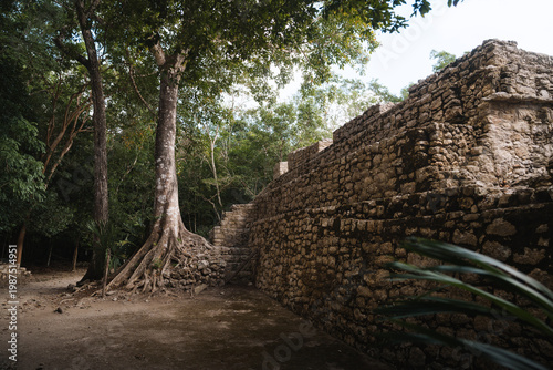 Ancient mayan city cobá ruins in lush yucatan jungle