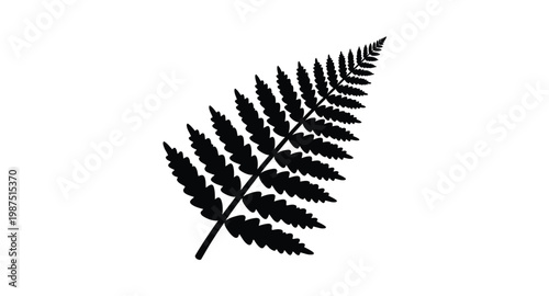 A striking black fern frond silhouette on transparent background