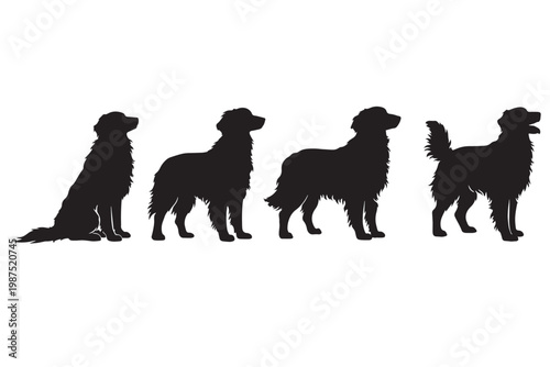 Golden Retriever dog silhouettes in various poses, set of four black canine vector shapes, domestic pet animal profiles for logo design