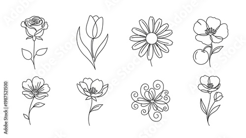Detailed Line Art Floral Collection with Diverse Flower Outlines