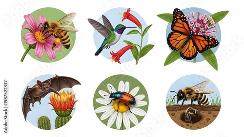 Collage of diverse insects and animals in natural habitats