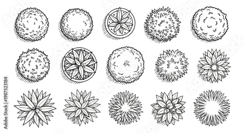 Monochrome hand drawn top view landscape plants and succulents vector set EPS10