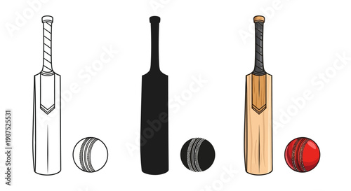 Three cricket bats and balls in varying styles and colors displayed