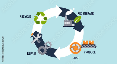 A visual representation of the circular economy model illustrating stages like regeneration, production, reuse, repair, and recycling for sustainable practices.