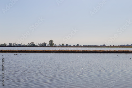 Layered Flooded Rice Fields in Northern Italy Countryside