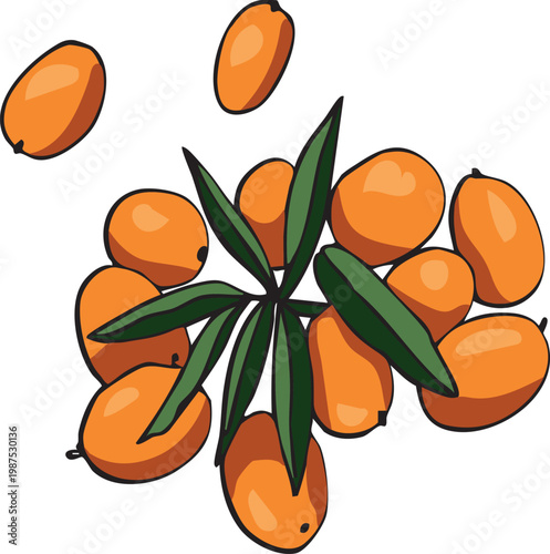 Hand drawn sea buckthorn berries and leaves composition. Vector botanical illustration for organic food, herbal tea, and natural cosmetic packaging.