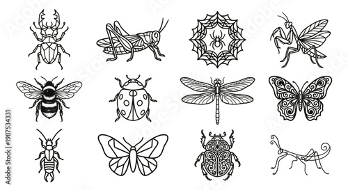 Minimalist linear insect icon and contour set. Clean and simple vector outline illustrations of a grasshopper, stink bug, cicada, and a flying fly in profile view. Isolated on white.