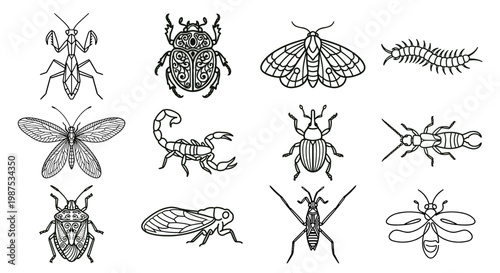 Intricate line art insect tattoo and mandala set. Ornate and symmetrical vector illustrations of a mantis, scarab beetle, scorpion, and longhorn beetle with stylized filigree patterns. Isolated on whi
