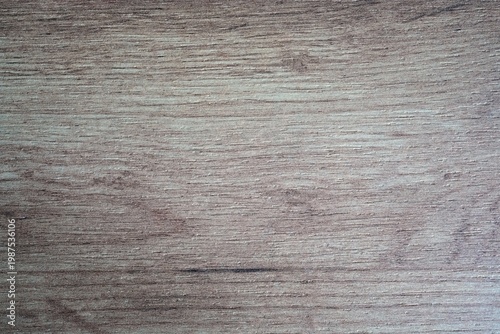 Wallpaper Mural Natural light wood texture with horizontal grain and cracks. Torontodigital.ca