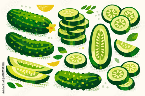 Stylized Cucumber Illustration Set with Whole, Sliced, and Halved Green Vegetables, Organic Farm Fresh Pickled Gherkins in Cartoon Style with Textured Halftone Details for Healthy Food Design.