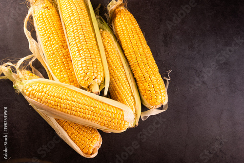 Ripe Corn Cobs on Dark Surface - Harvest Time