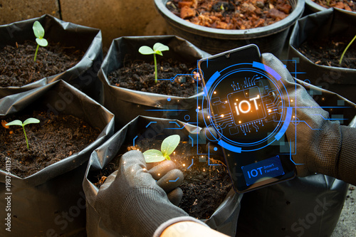 Tableau sur toile Person holding smartphone with IoT technology for smart farming and small green