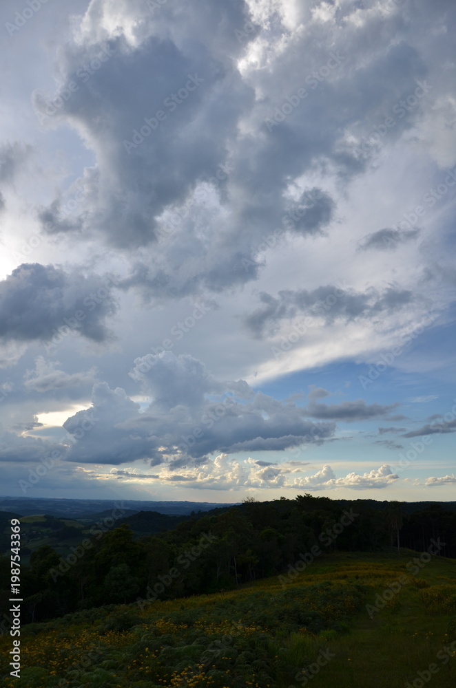 Fototapeta premium Expansive sky over wildflower field in Serra Gaúcha, Rio Grande do Sul, Brazil
