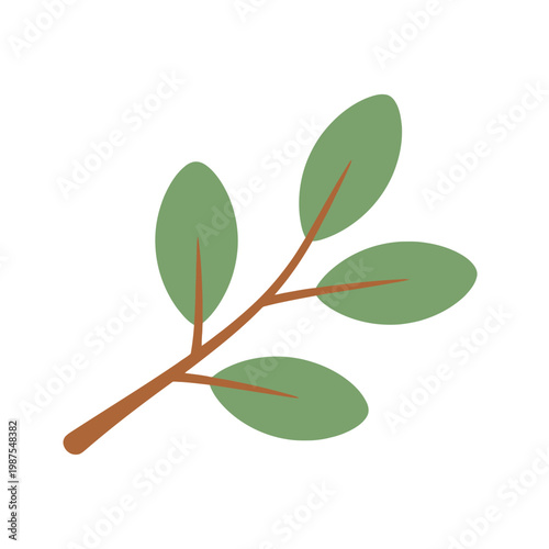 Green leaf branch on white background, botanical illustration, nature element