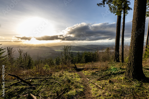 Sunlight breaks through clouds over forested hills. Tall trees cast shadows on grassy ground. Distant valleys fade into soft haze. Clear blue sky above rugged terrain in the Pacific Northwest USA.