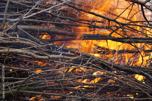 Foto Bright flames of a bonfire consuming dry tree branches
