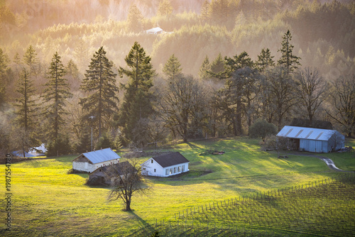 Sunlight filters through misty morning over forested hills. Small farm buildings dot grassy slope. Trees include evergreens and bare deciduous types. No animals or specific plants visible