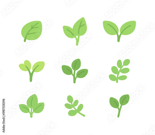 set of green leaves