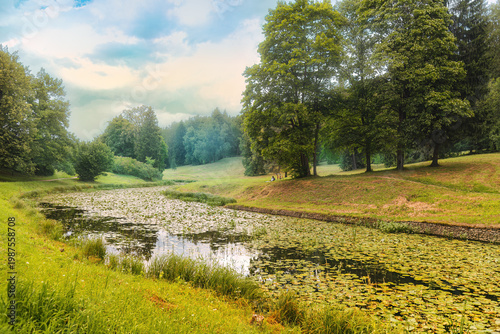 Summer Pond with Water Lilies in Park