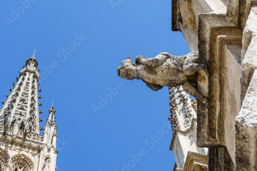 Photography Gargoyle in the cathedral of Burgos, Spain