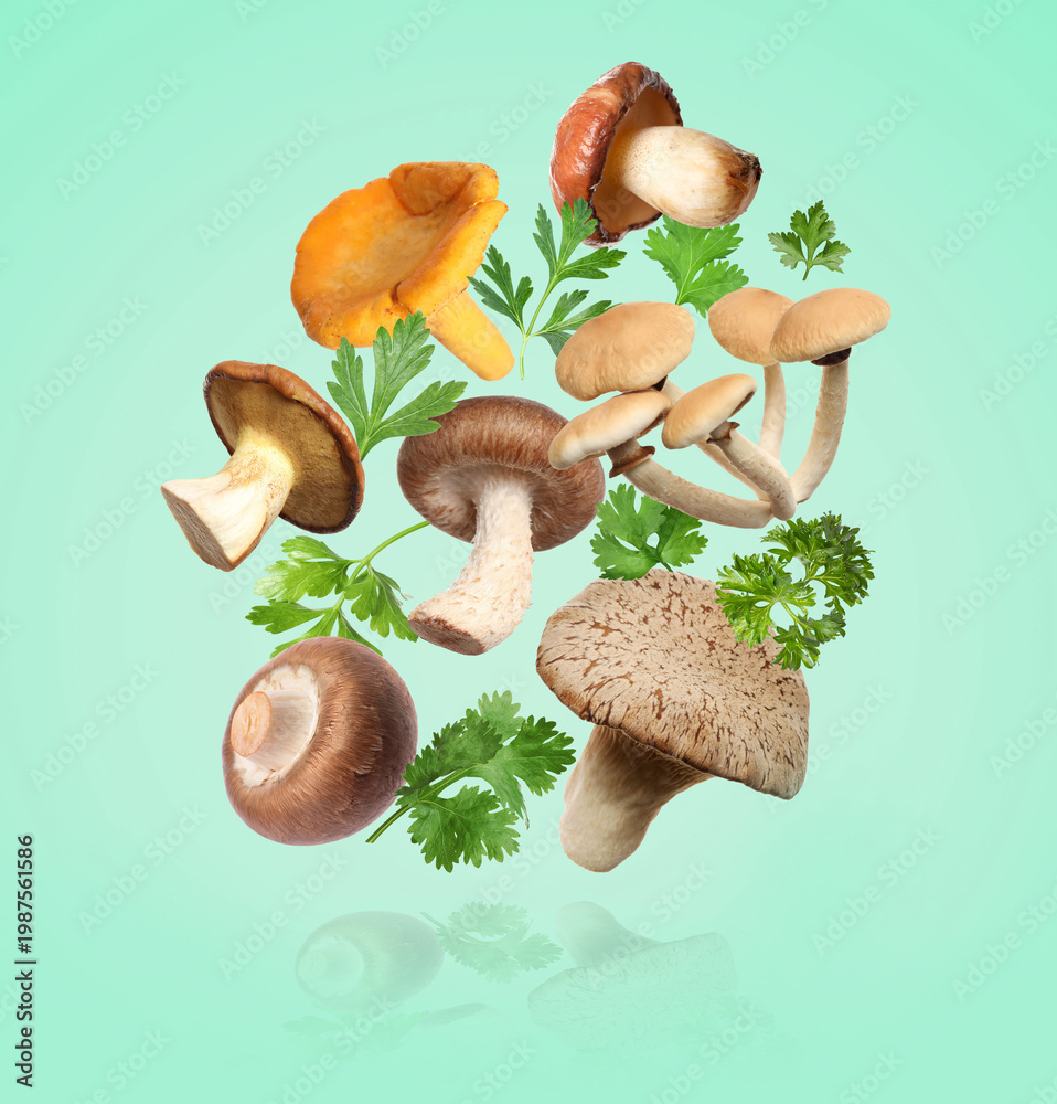 Fototapeta premium Fresh mushrooms and herbs falling against turquoise background