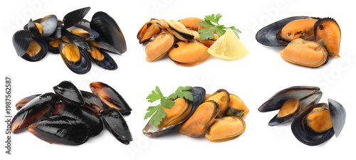 Foto Fresh mussels isolated on white, collage. Sea food