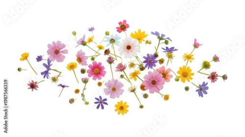 A delicate assortment of small wildflowers with colorful petals and green stems on a white background floral arrangement