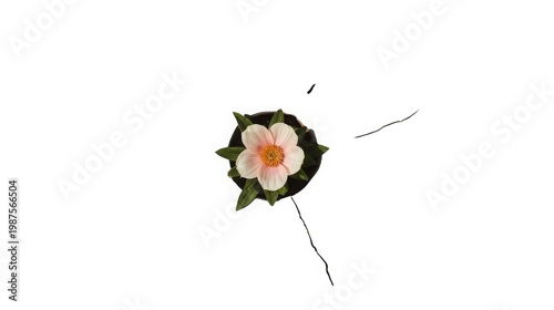 A delicate flower with soft pink petals and green leaves on a white background showcasing natural beauty and serenity in a minimalist setting