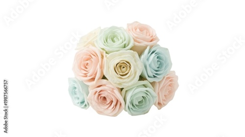 Delicate pastel hued rose bouquet with soft petals and golden center floral arrangement on white background