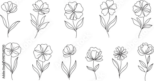 Floral vector art collection delicate botanical illustrations vector designs for print digital use