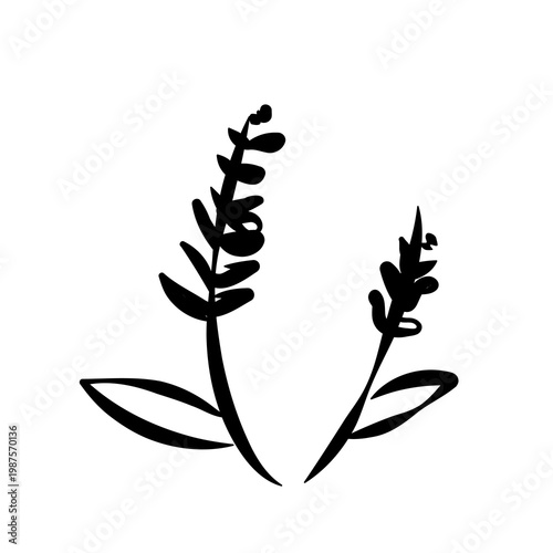 Simple doodle single flower