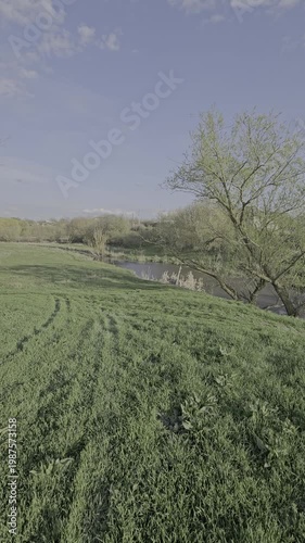A field with a tree and a river in the background