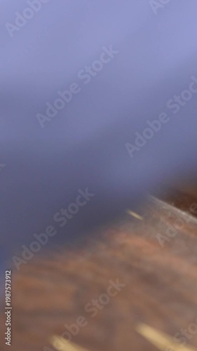 Playing Backgammon in Vertical Format – Dice Rolling and Hands Close-Up 4K