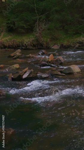 Tranquil Stream Glides Over Mossy Rocks In Bohemian Woodland With Peaceful Ambiance At Twilight