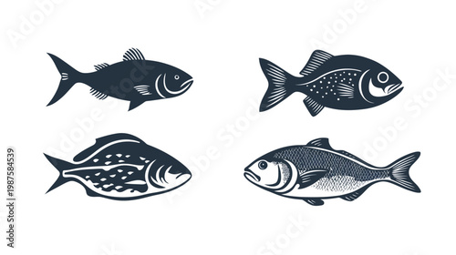Four stylized illustrations of fish, varying in shapes and details, against a white backdrop